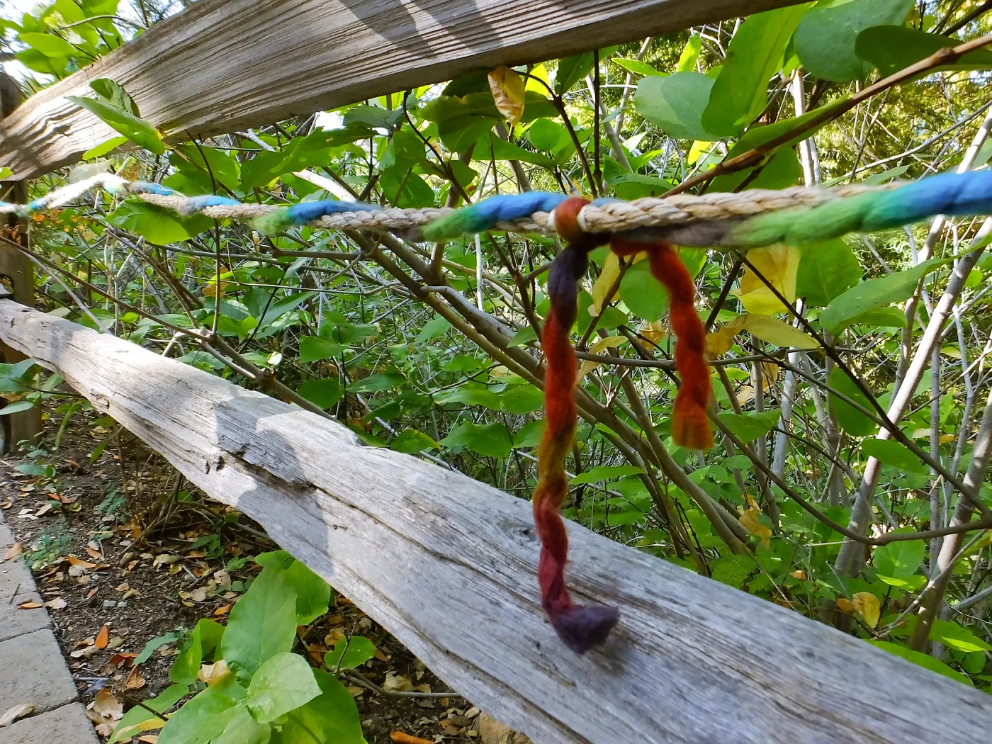 Dormant Dreams Yarn Blast, Redwoods Yarn Walk
