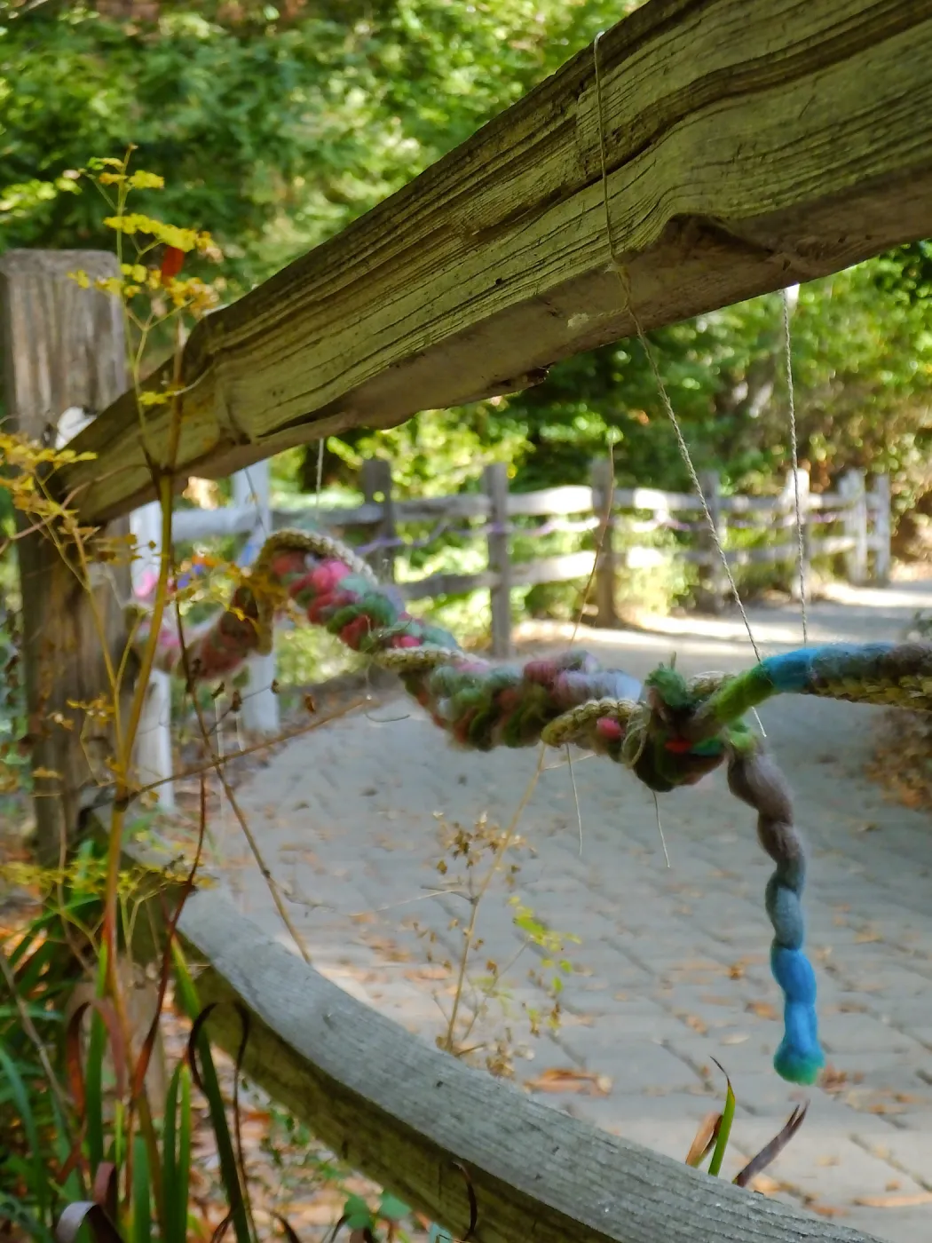 Dormant Dreams Yarn Blast, Redwoods Yarn Walk