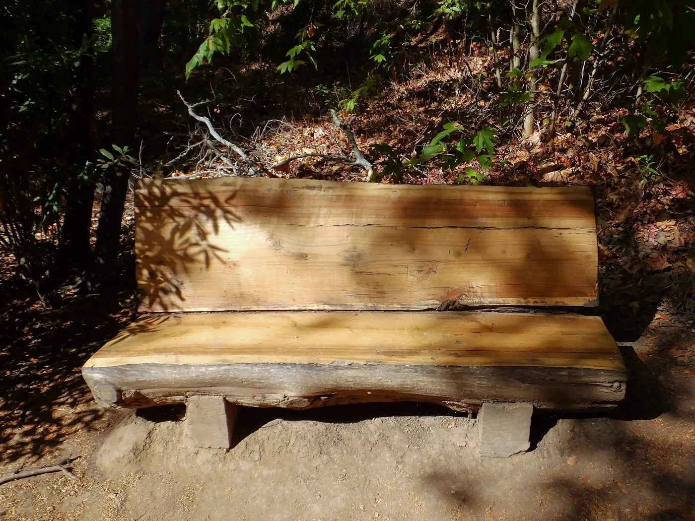Refinished bench on Canyon Trail