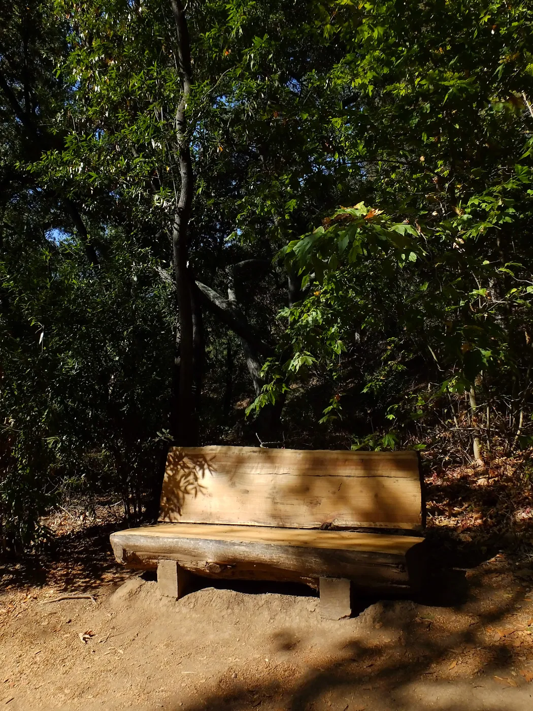 Refinished bench on Canyon Trail