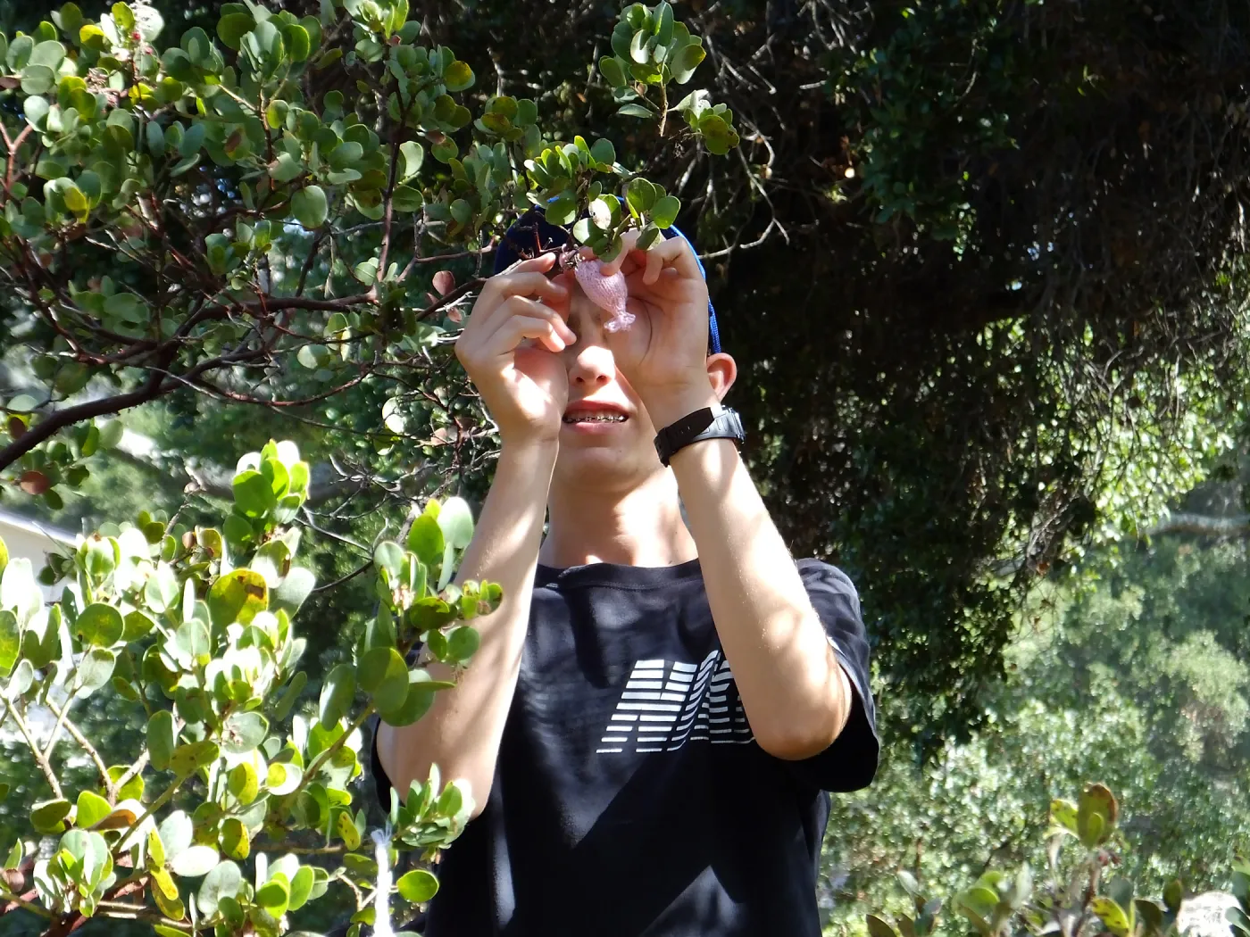 Dormant Dreams Yarn Blast, Off-Season Manzanita Blossom Installation