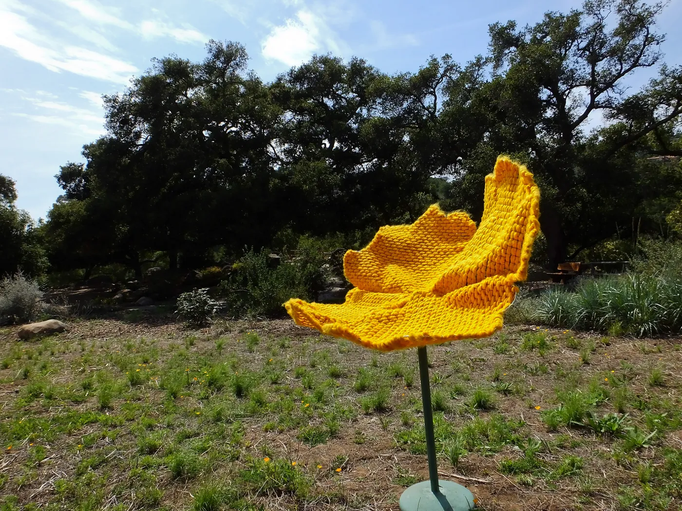 Dormant Dreams Yarn Blast, Giant California Poppy