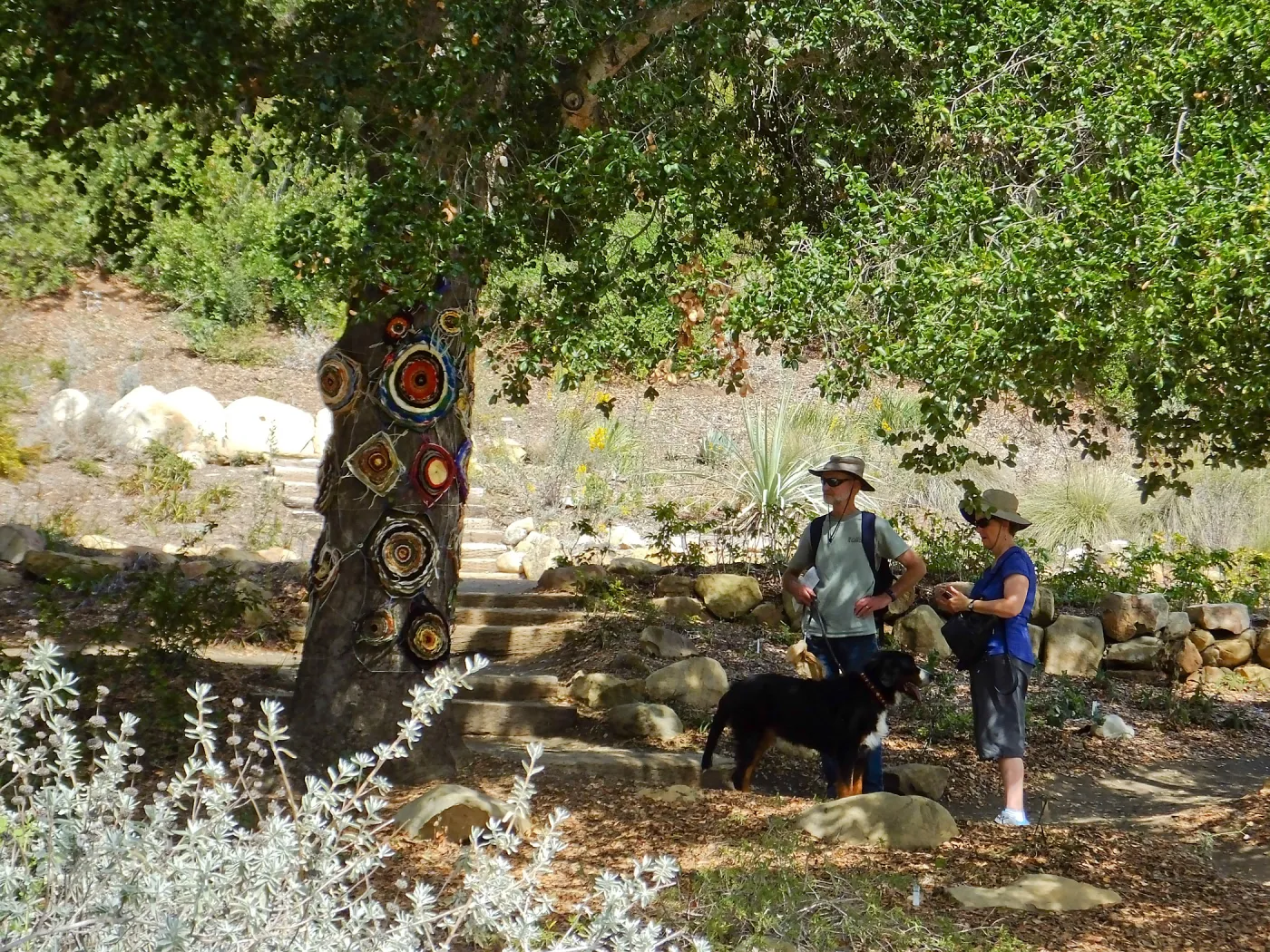 Dormant Dreams Yarn Blast, Coast Oak Circles