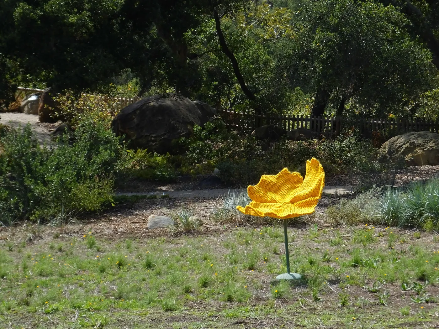 Dormant Dreams Yarn Blast, Giant California Poppy