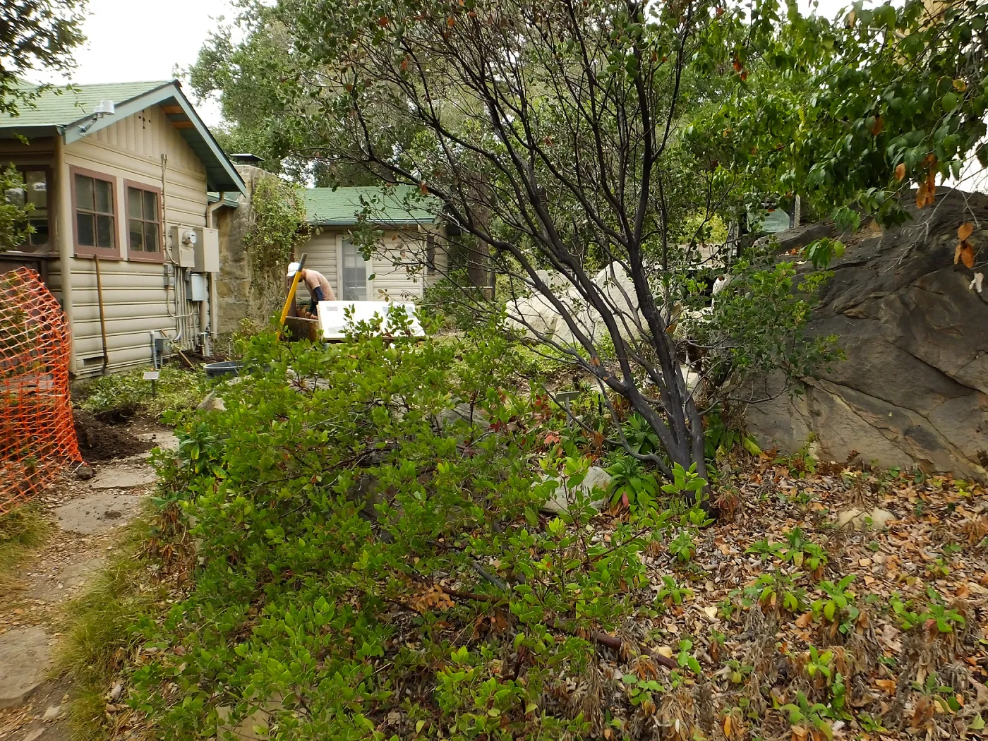 Home Demonstration Garden Renovation, view 8, north of Cottage, looking west