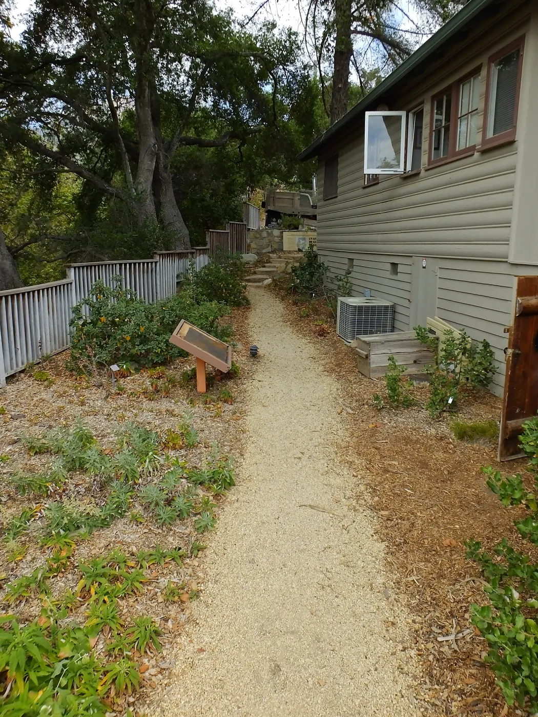 Home Demonstration Garden Renovation, view 30, looking north along path west of Cottage