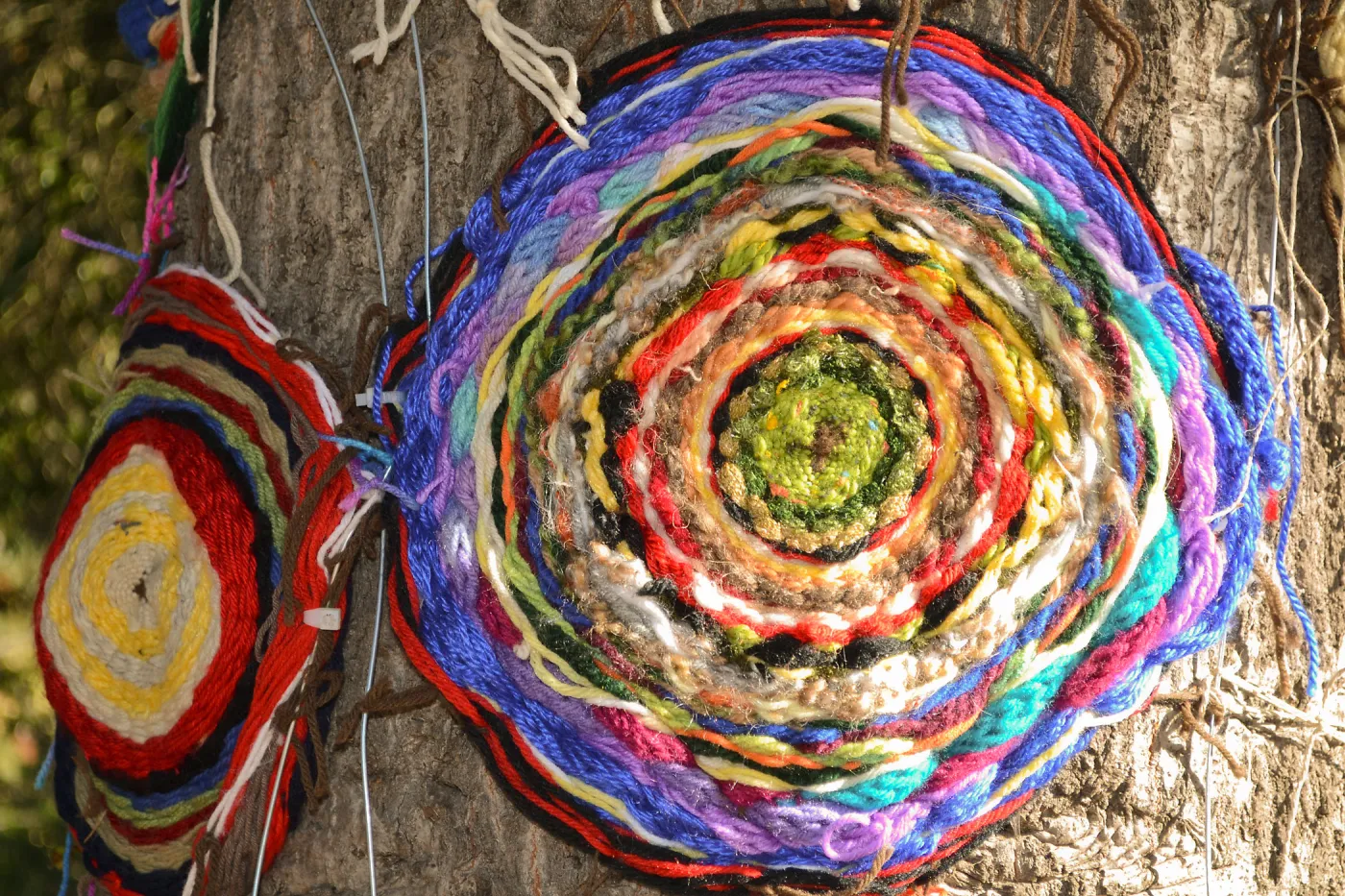 Dormant Dreams Yarn Blast, Coast Oak Circles