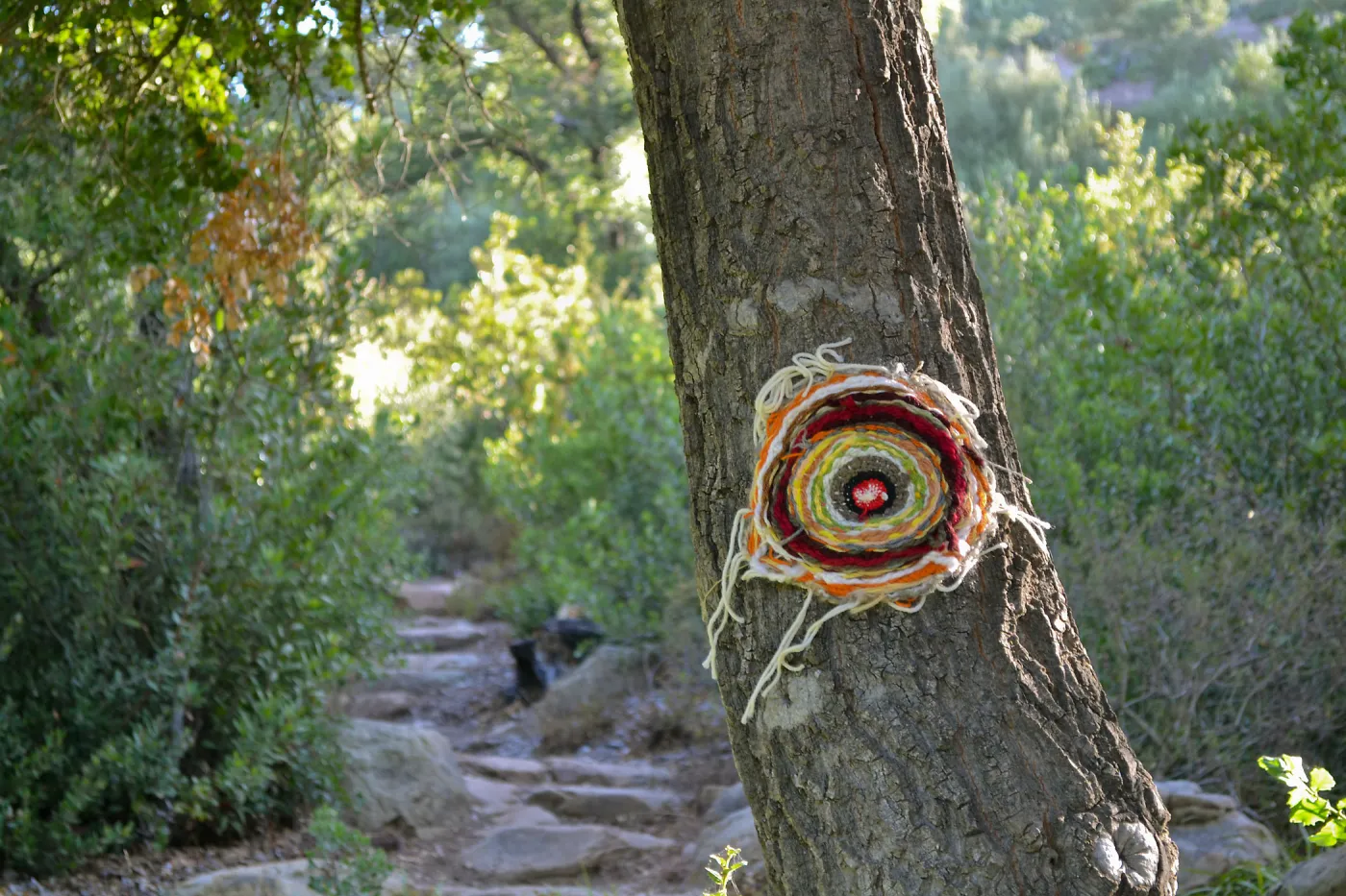 Dormant Dreams Yarn Blast, Coast Oak Circles