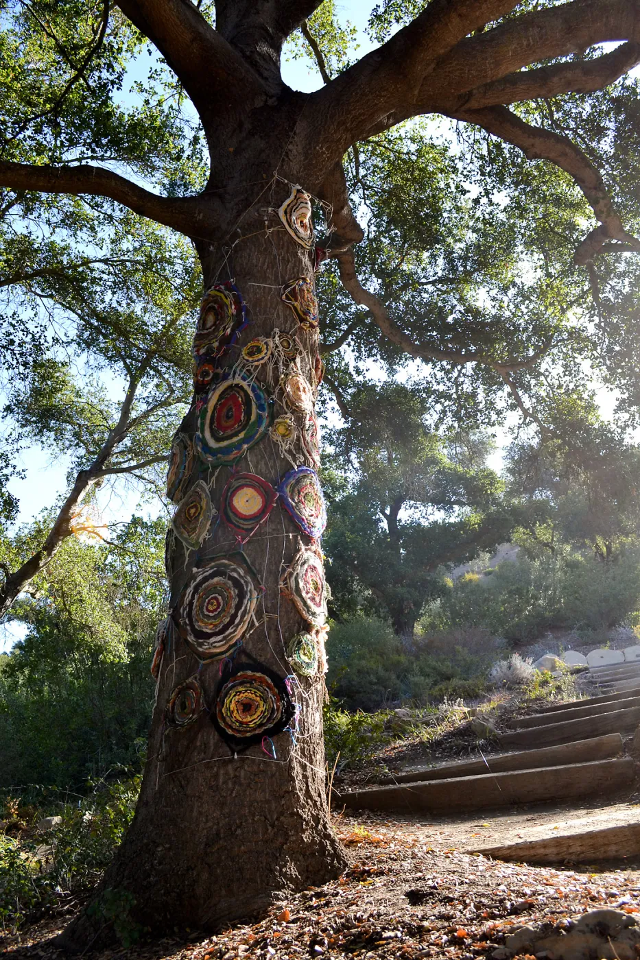 Dormant Dreams Yarn Blast, Coast Oak Circles