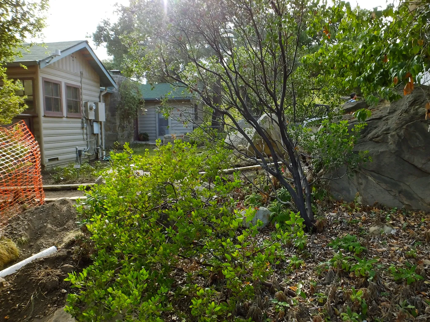 Home Demonstration Garden Renovation, view 8, north of Cottage, looking west