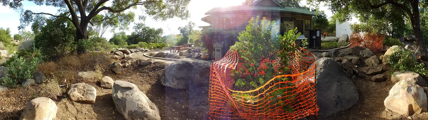Home Demonstration Garden Renovation, view 9, panorama of east side of Cottage