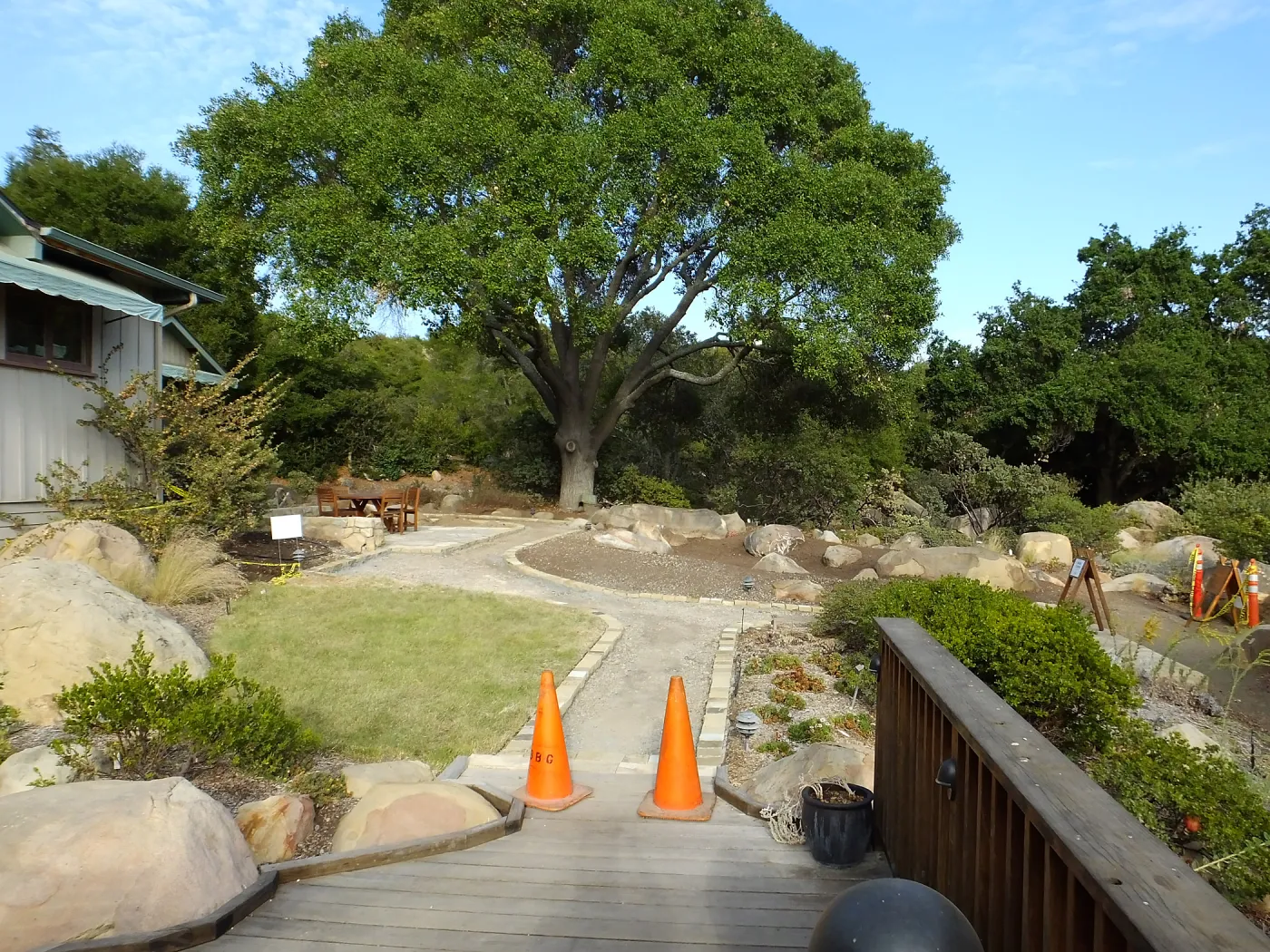 Home Demonstration Garden Renovation, view 27, looking east from deck