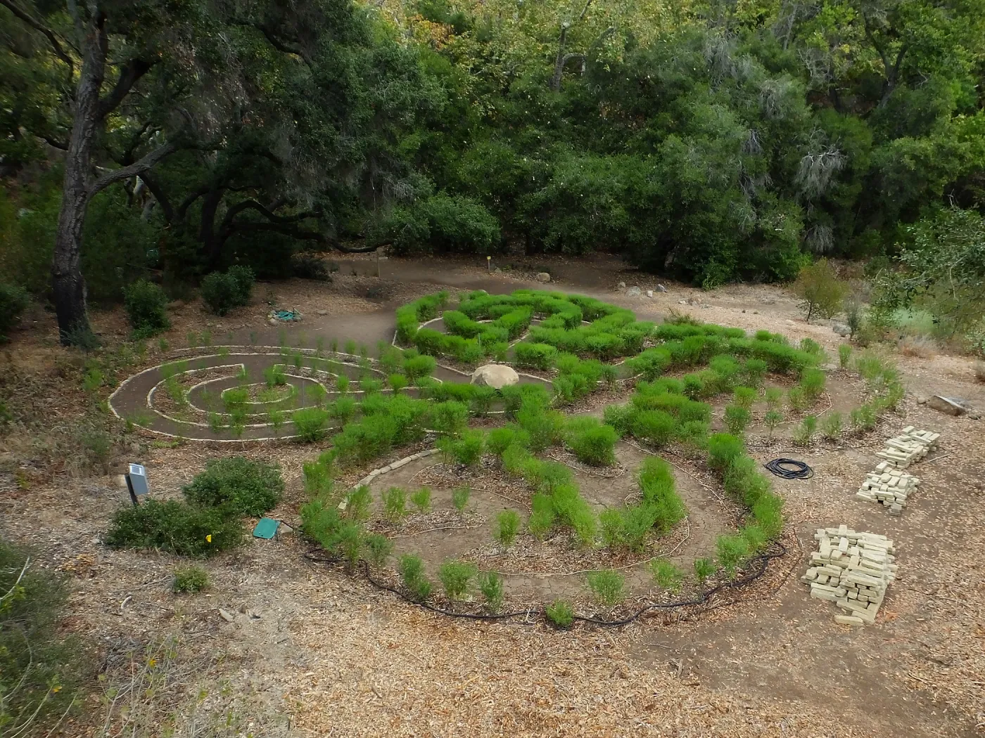 Centennial Maze