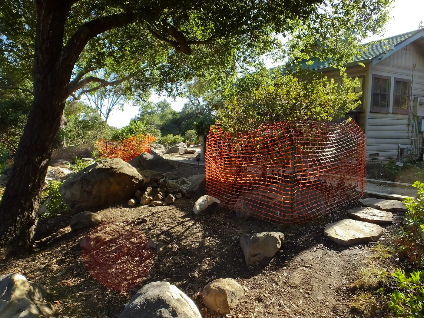 Home Demonstration Garden Renovation, view 7, east of Cottage