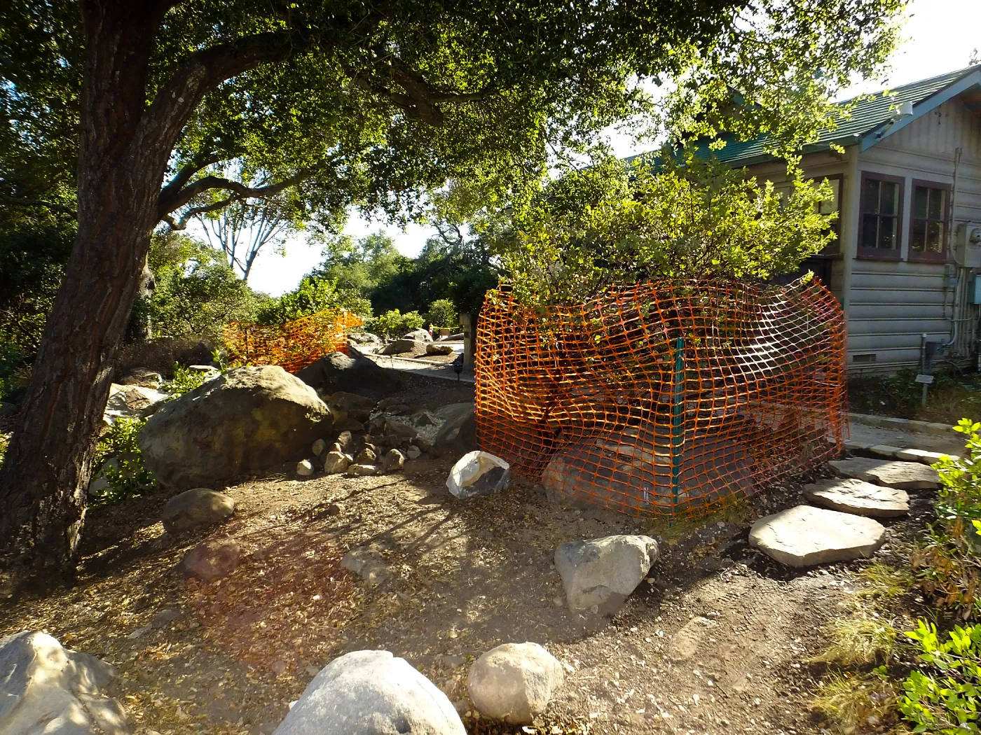 Home Demonstration Garden Renovation, view 7, east of Cottage