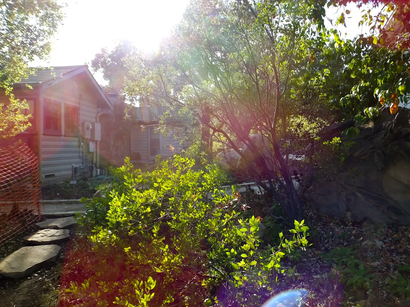 Home Demonstration Garden Renovation, view 8, north of Cottage, looking west