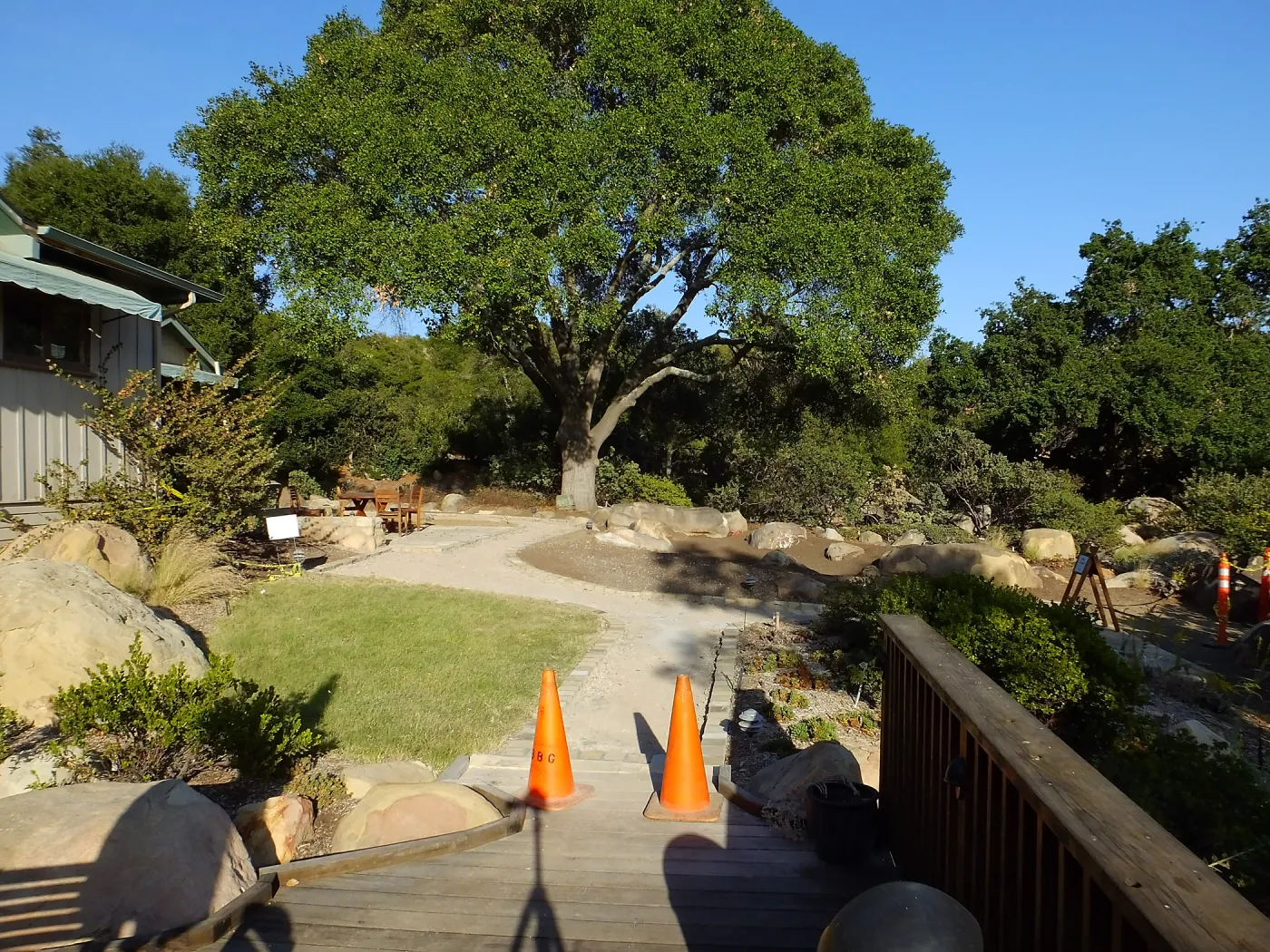 Home Demonstration Garden Renovation, view 27, looking east from deck