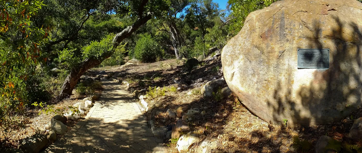 Wooded Dell site preparation, panoramic view along Campbell Trail