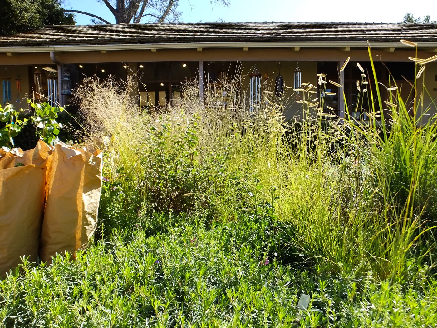 Fall Plant Sale 2015 preparations