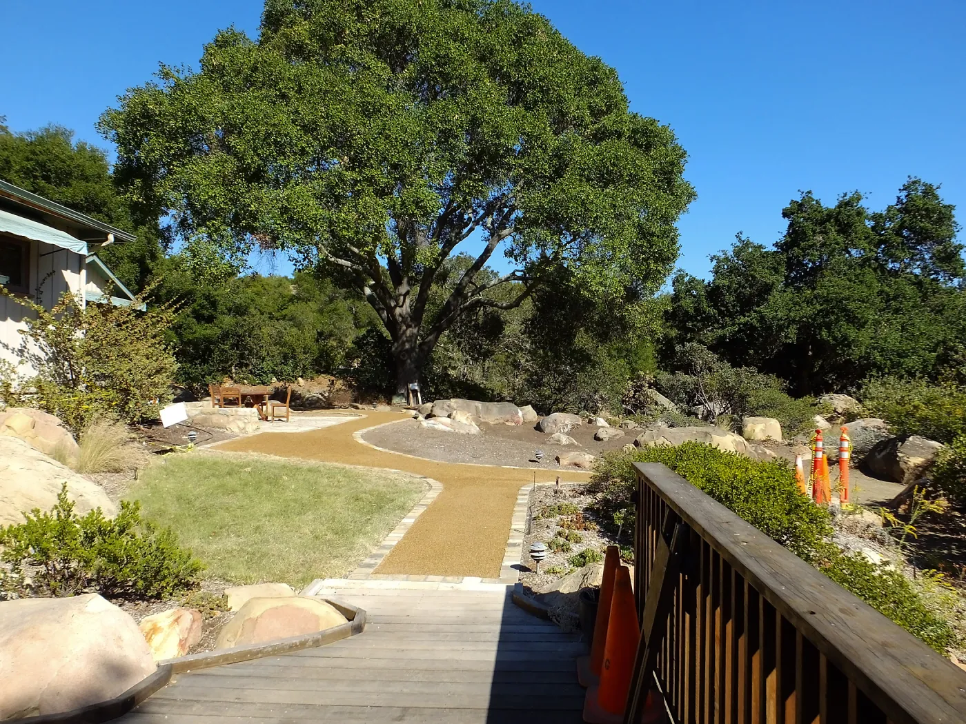 Home Demonstration Garden Renovation, view 27, looking east from deck