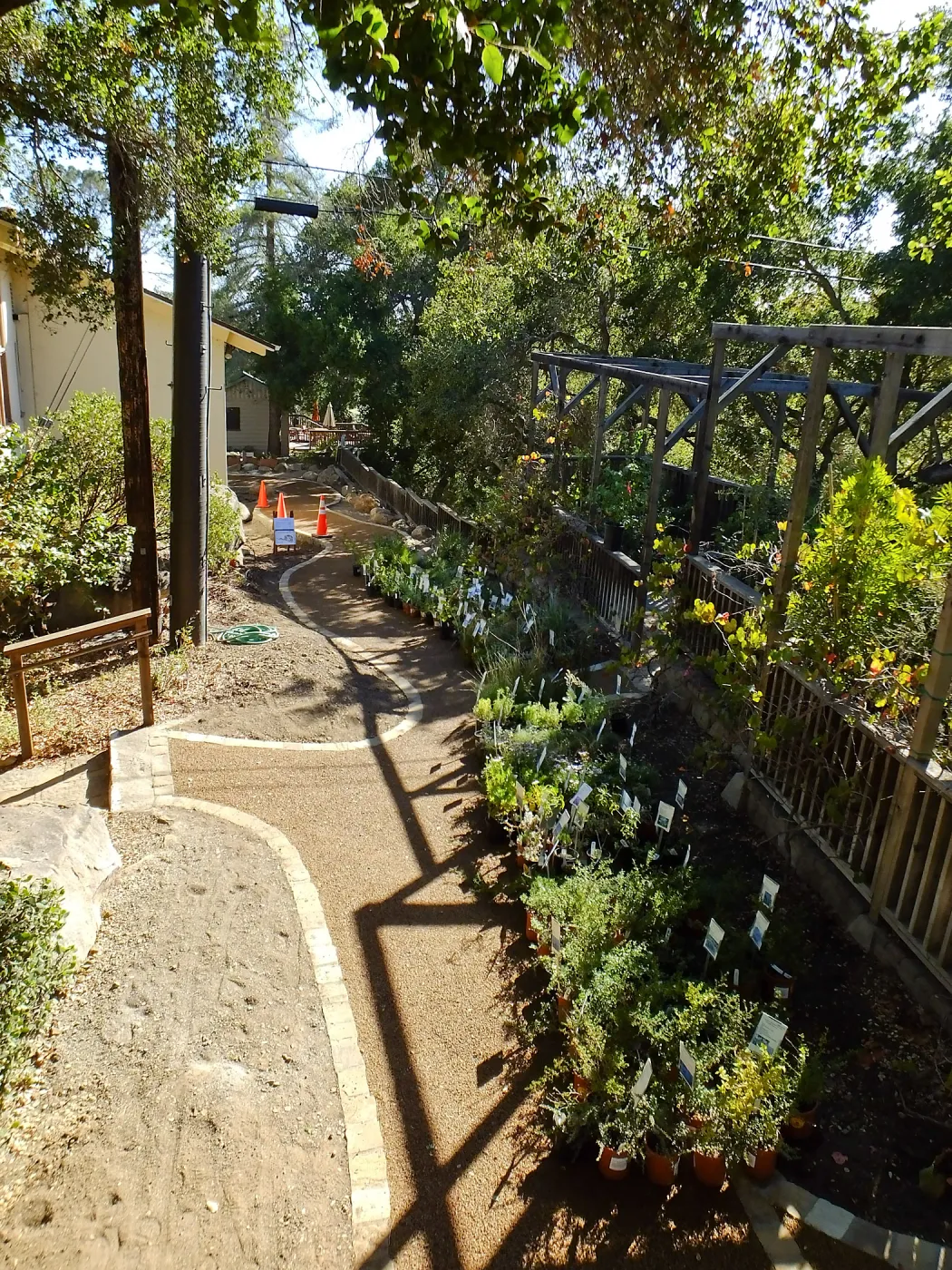 Home Demonstration Garden Renovation, view 33, looking south along path west of Herbarium