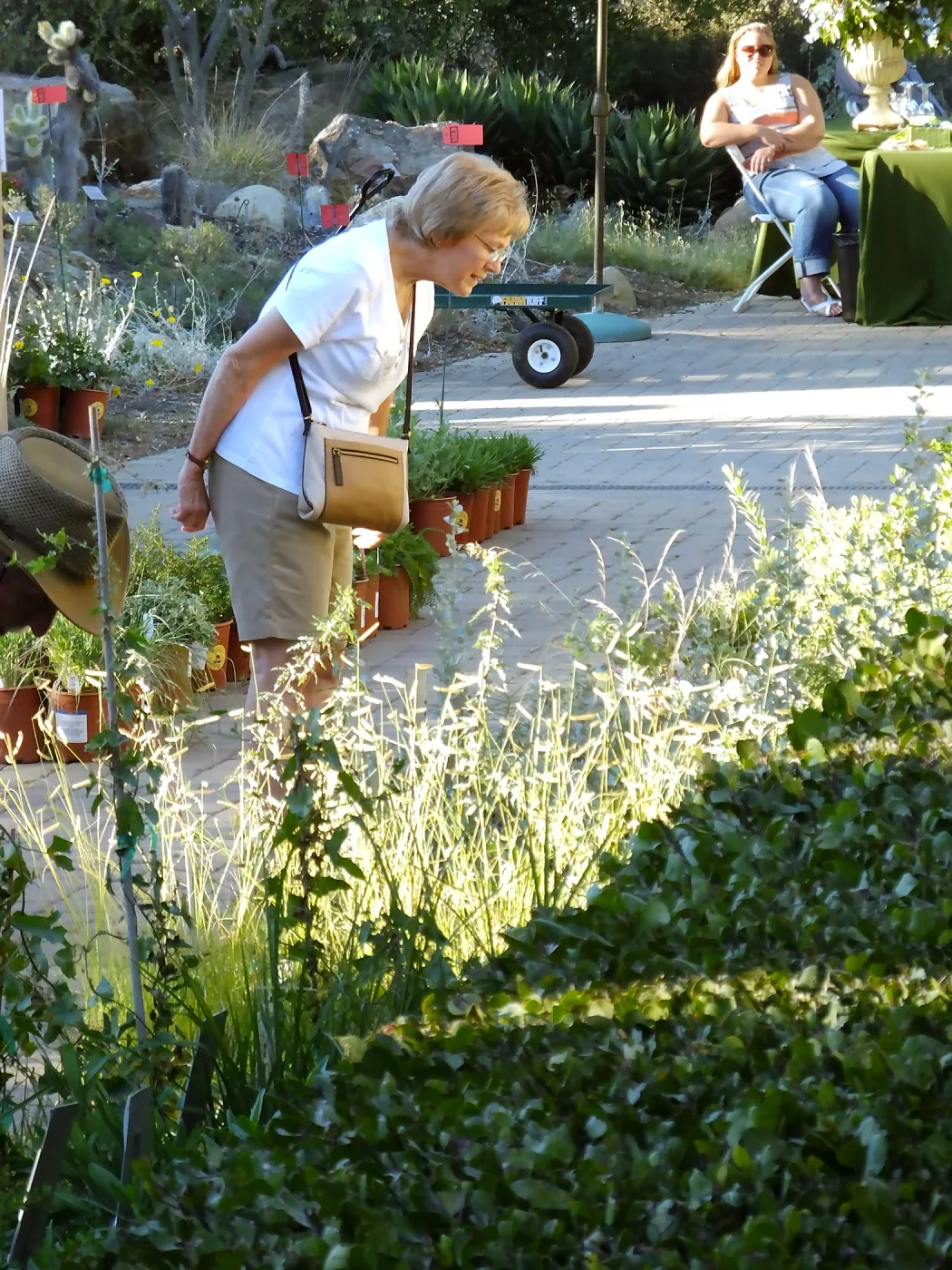 Fall Plant Sale 2015 Members Preview Party