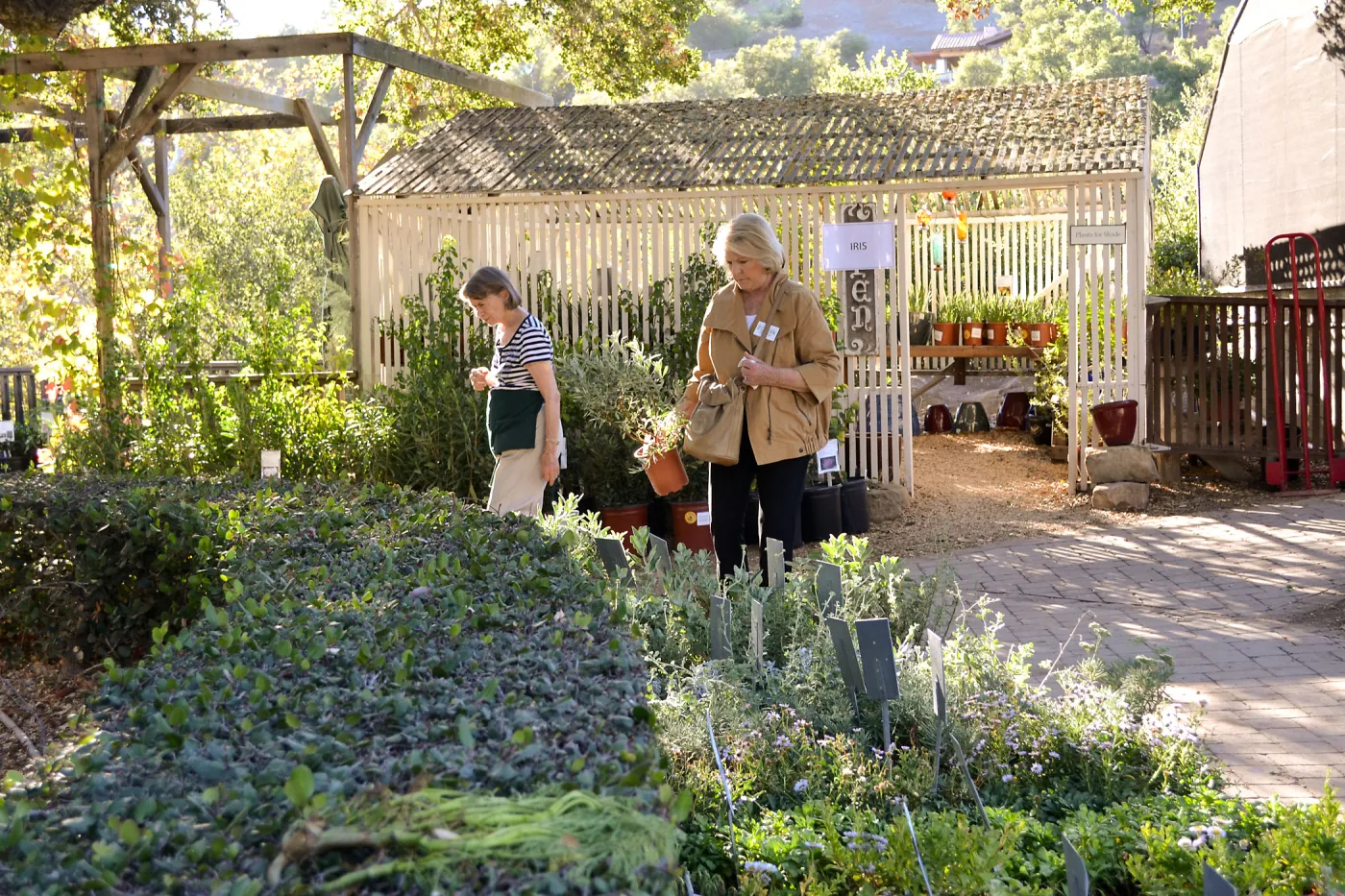 Fall Plant Sale 2015 Members Preview Party