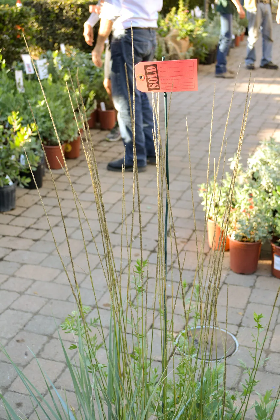 Fall Plant Sale 2015 Members Preview Party