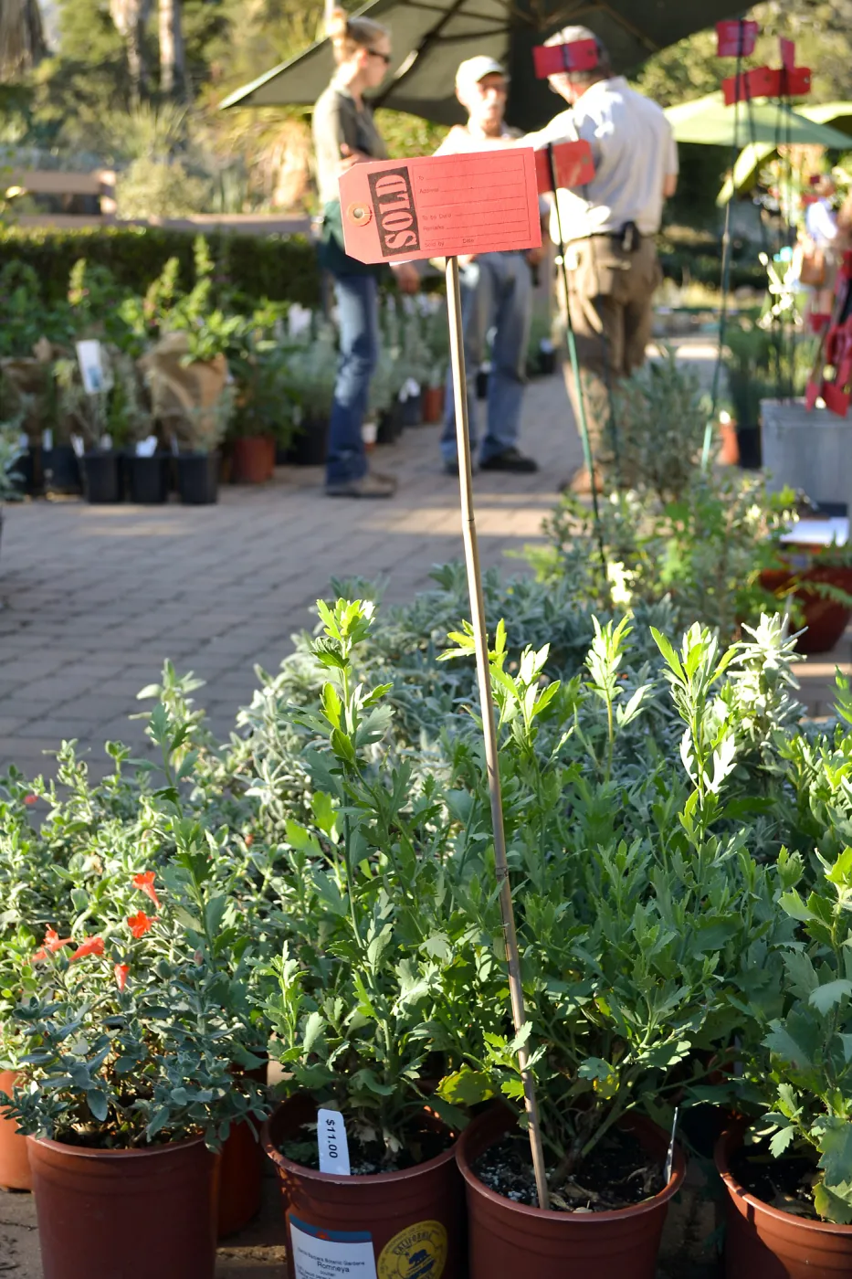 Fall Plant Sale 2015 Members Preview Party