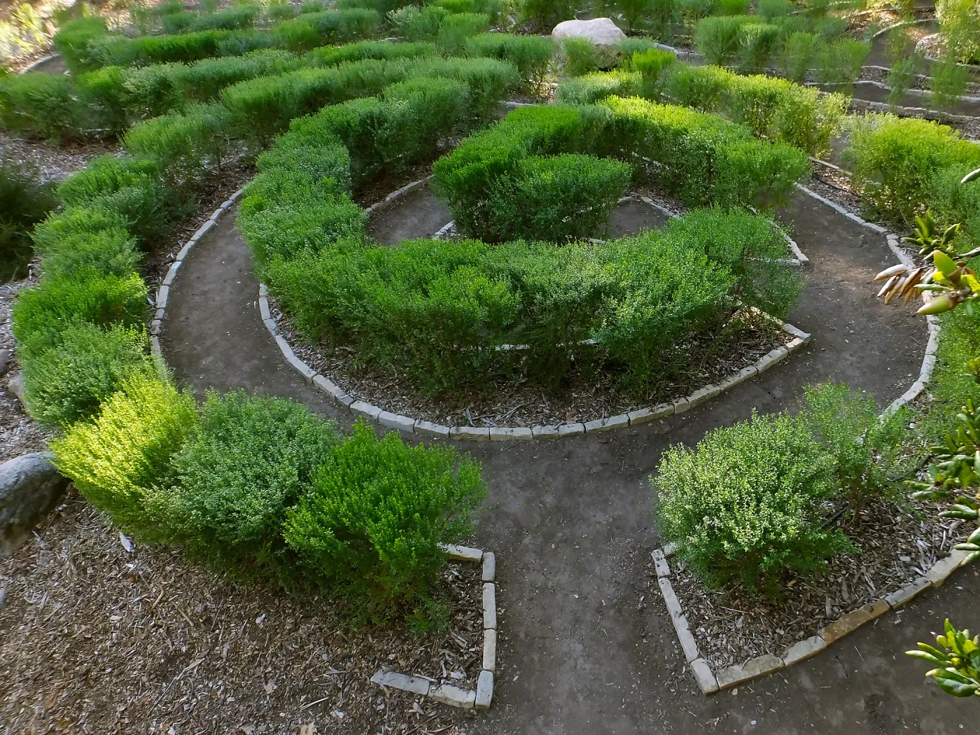 Centennial Maze