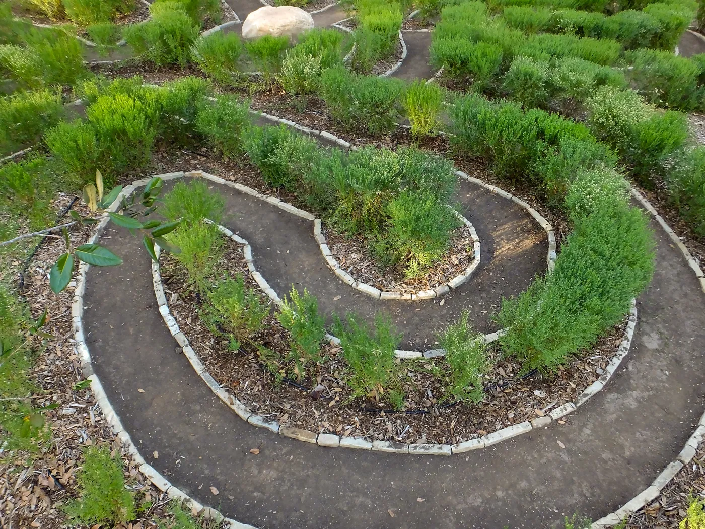 Centennial Maze