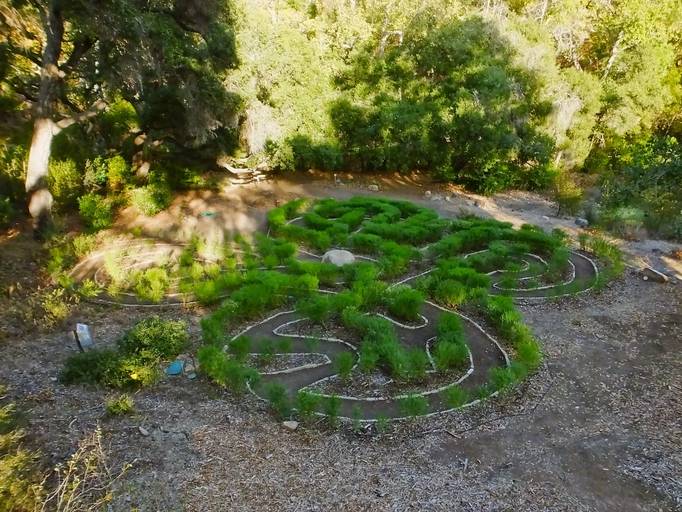 Centennial Maze