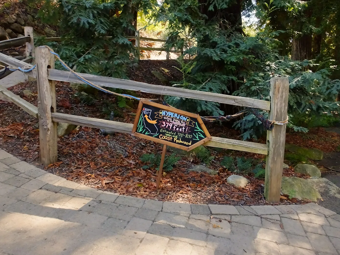 Dormant Dreams Redwood Yarn Walk Signage