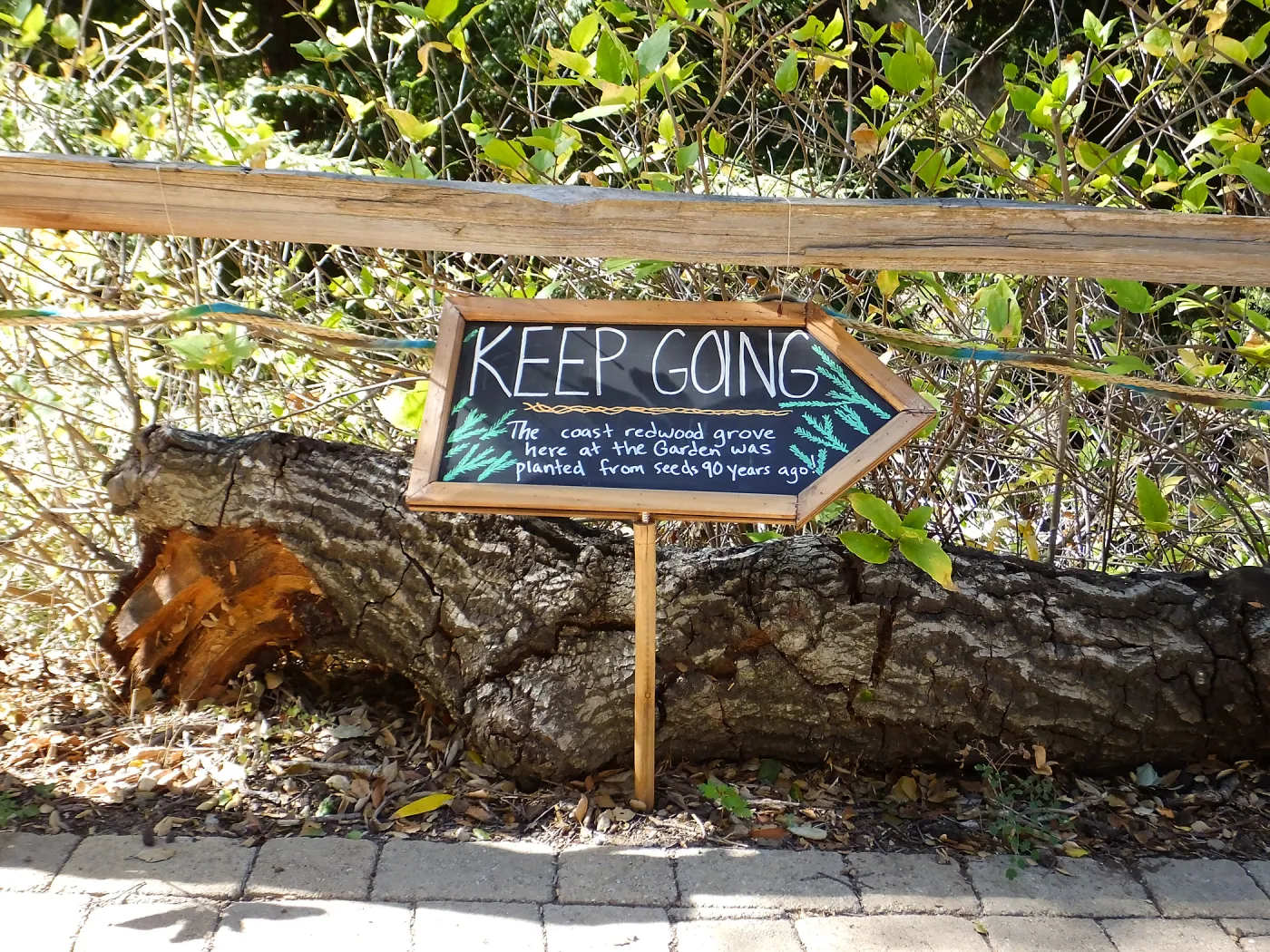 Dormant Dreams Redwood Yarn Walk Signage