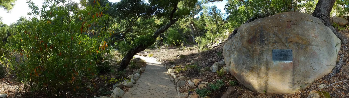 Wooded Dell, newly planted trees, panoramic view along Campbell Trail