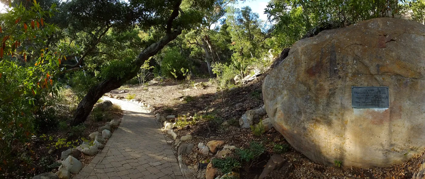 Wooded Dell, newly planted trees, panoramic view along Campbell Trail
