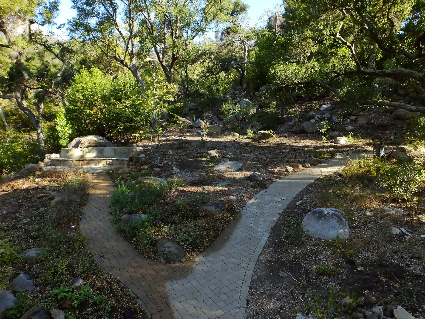 Wooded Dell, newly planted trees