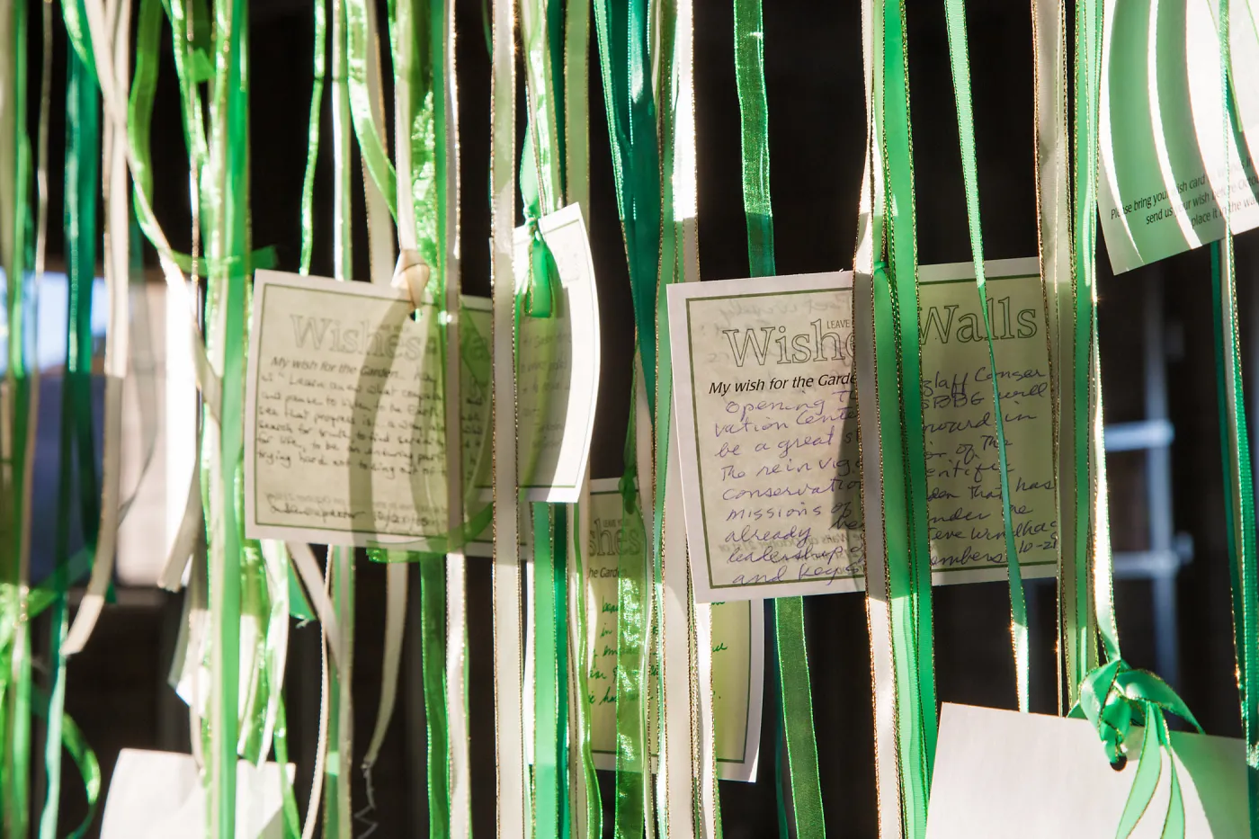 Pritzlaff Conservation Center, Wishes in the Walls event, Wishing Wall