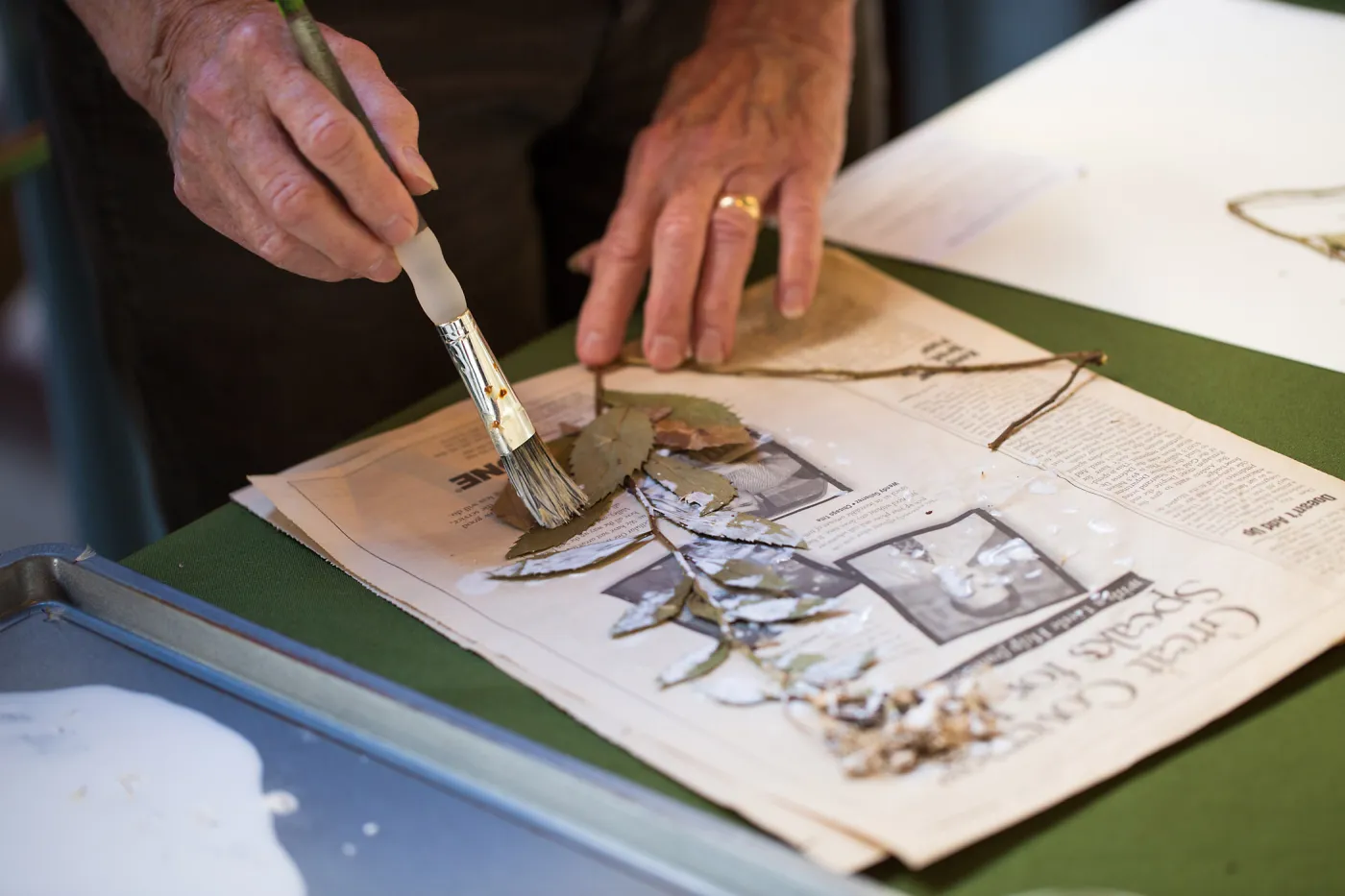 Pritzlaff Conservation Center, Wishes in the Walls event, Herbarium specimen mounting