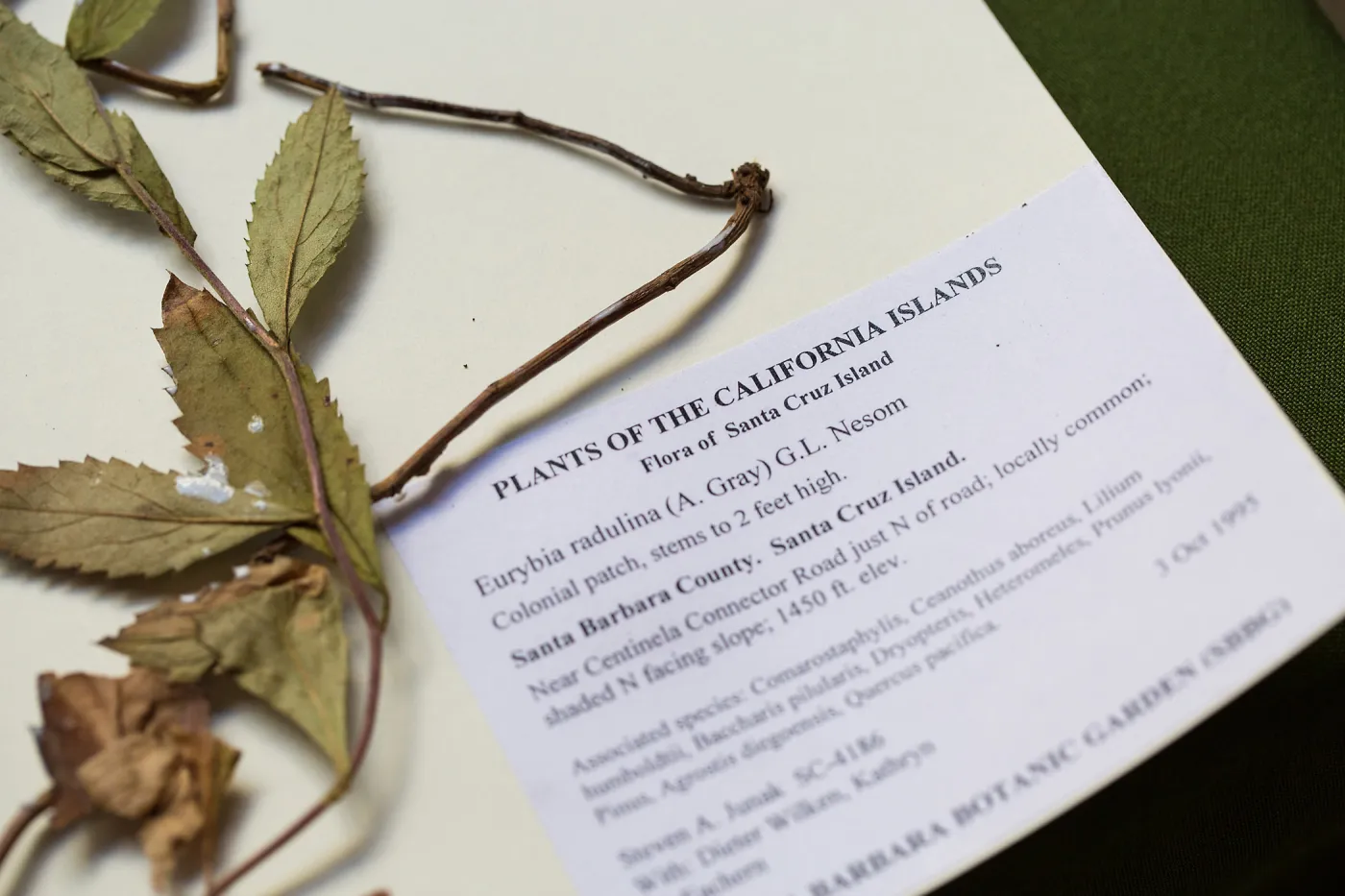 Pritzlaff Conservation Center, Wishes in the Walls event, Herbarium specimen sample