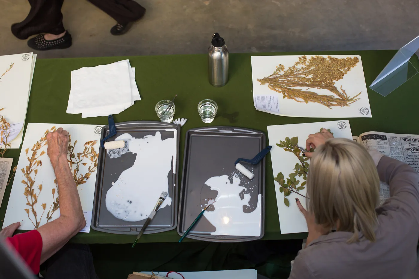 Pritzlaff Conservation Center, Wishes in the Walls event, Herbarium specimen mounting