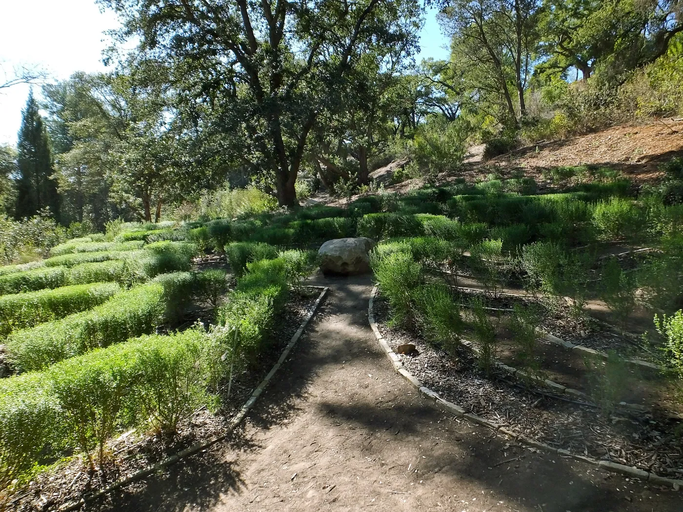 Centennial Maze