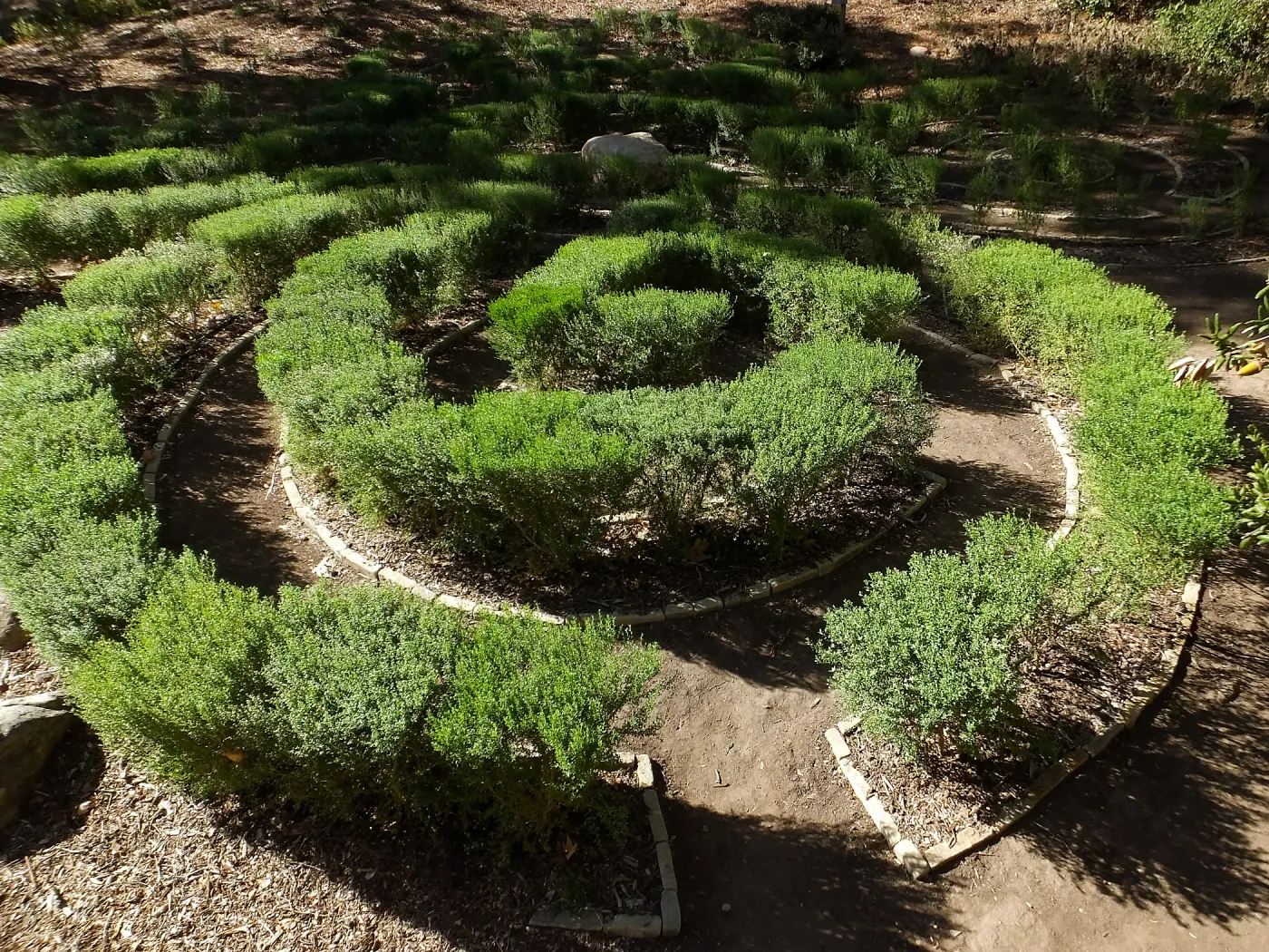 Centennial Maze