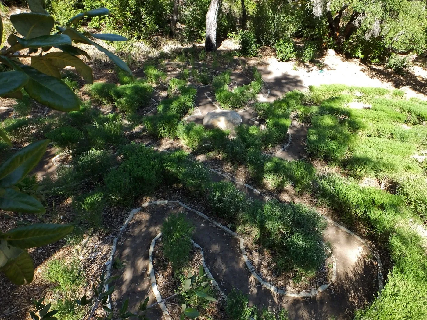 Centennial Maze