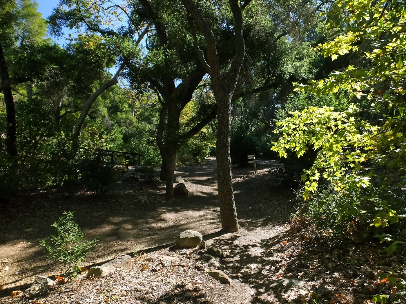 Trail Junction near Campbell Bridge in Canyon Section