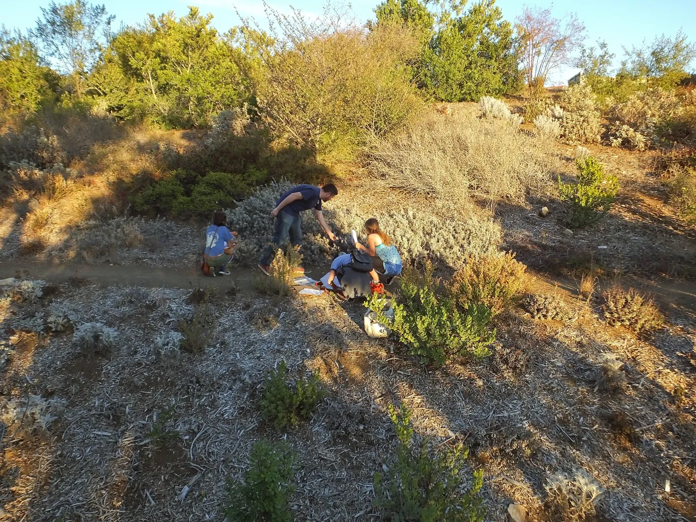UCSB students learning how to make plant and tissue collections