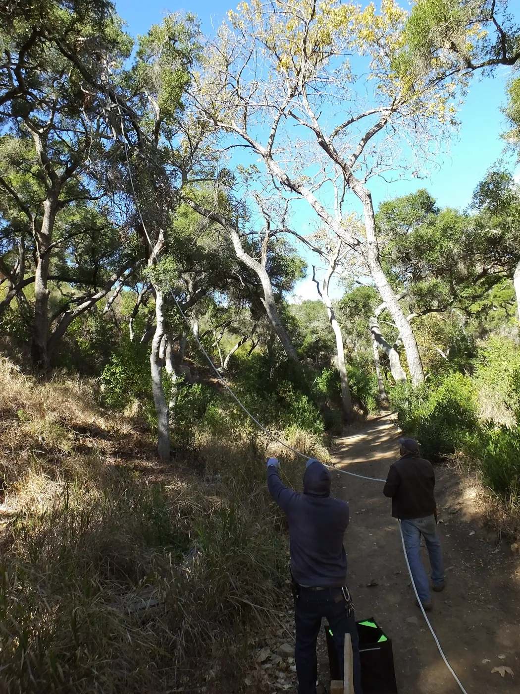 Clearing a broken tree branch