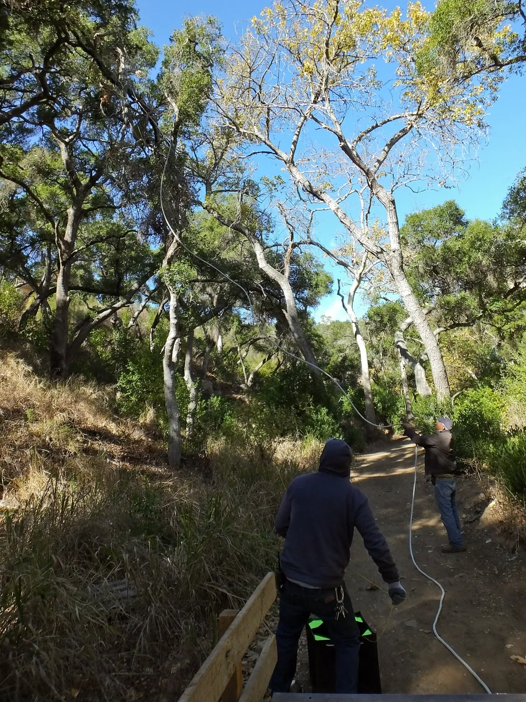 Clearing a broken tree branch