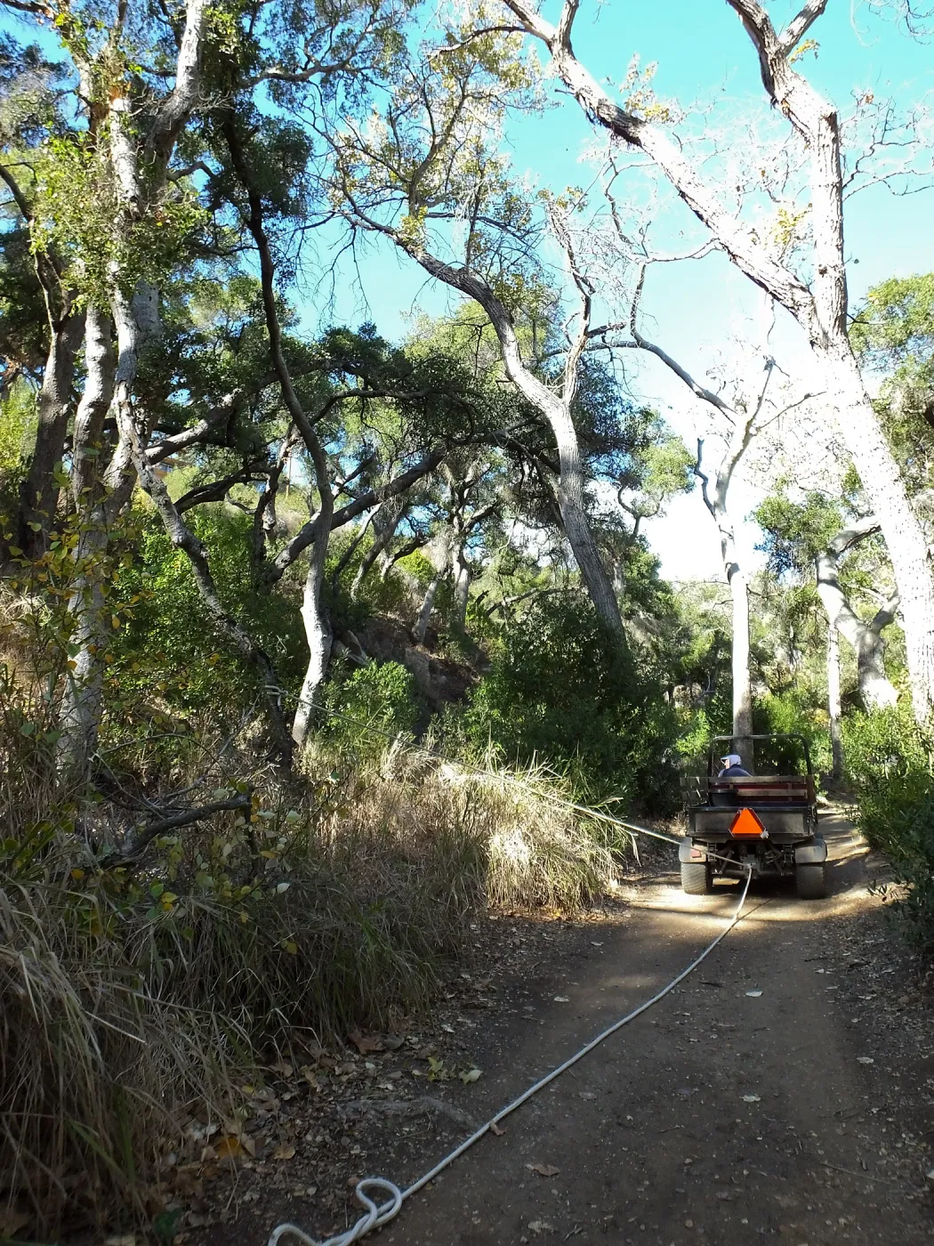 Clearing a broken tree branch