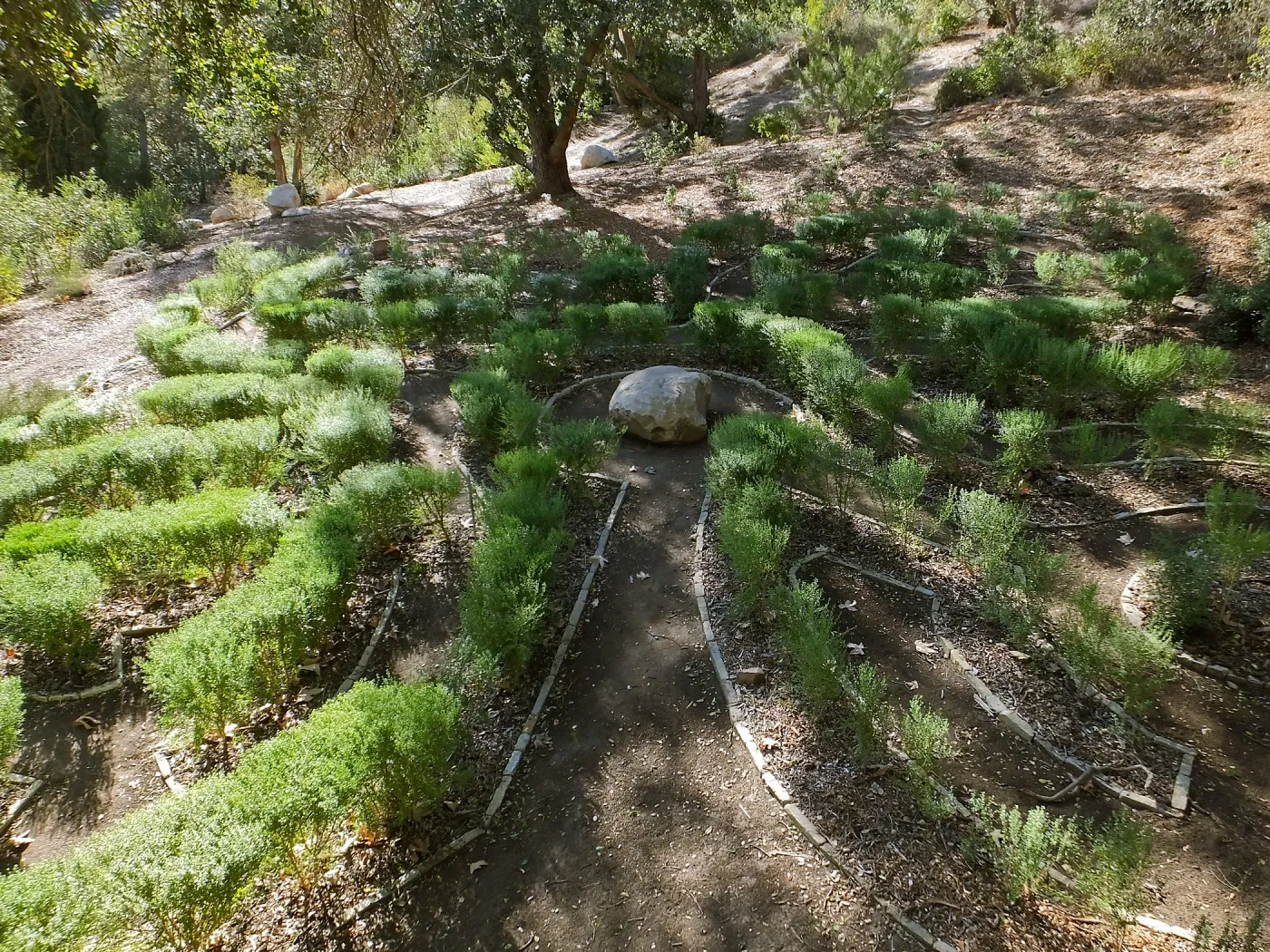Centennial Maze